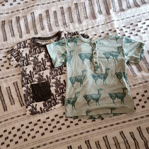 Kate Quinn Henley Tee Bundle